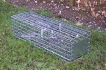 Professional double spring Grey Squirrel Cage Trap