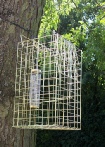 Tree Mountable Squirrel Trap with Bird Feeder