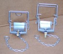 Mk 4 and Mk 6 Fenn spring traps approved for grey squirrel from £8.85