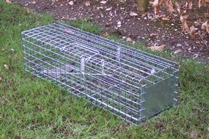 Professional Cage trap for Mink and Grey Squirrel