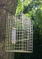 Tree mounted Elgeeco Squirrel Trap with Bird Feeder