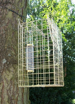 Squirrel Trap and Bird Feeder patented by Elgeeco £28.45